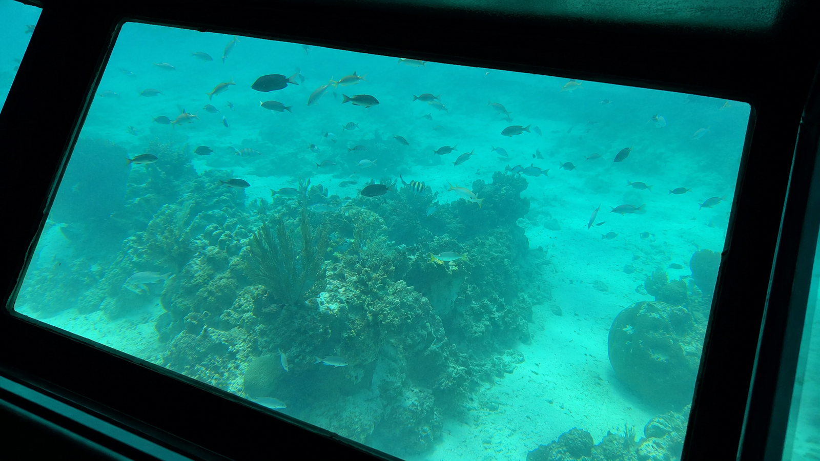City Tour Roatán